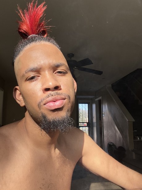 Dolce perfekte kunst archiv