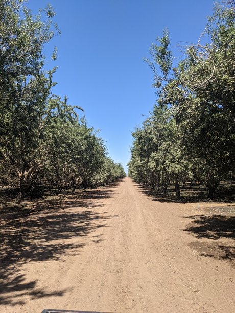 Farmer Adam schauspielerin nackte fotos