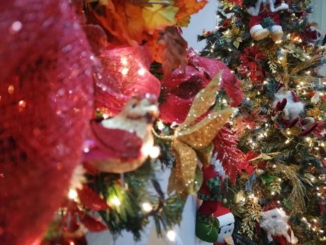 Darling Inoa heiße nackte fotos