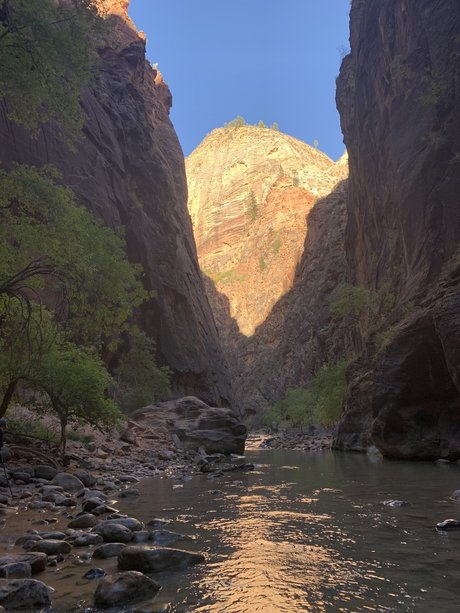 Alpacka beste exklusive bilder