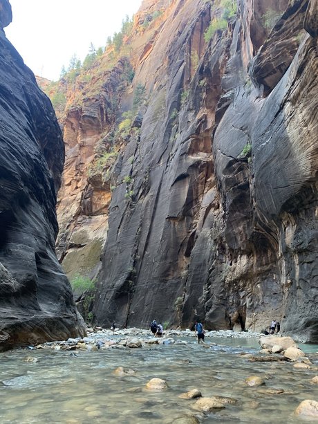 Alpacka schöne nackte archiv