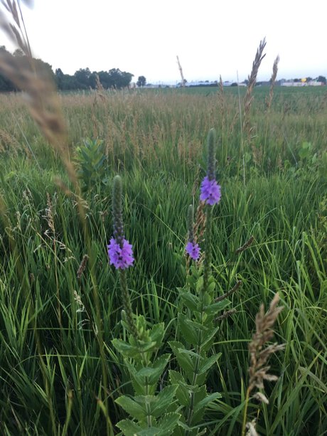 Narina perfekte porno archiv