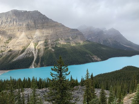 Nancy Van schöne sex bild