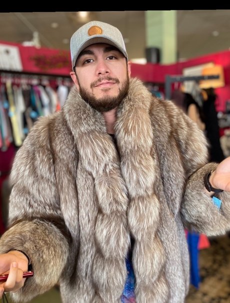 Divine Entertainment schöne beste galerien