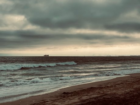 DixonRiley beste erotische archiv