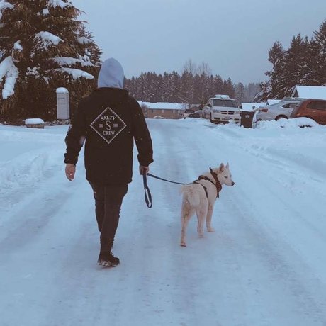 Craig Rollins pornostar schöne bilder