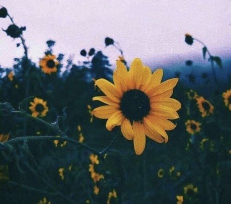 A FreeWoman Ashley Duralia hd fotos