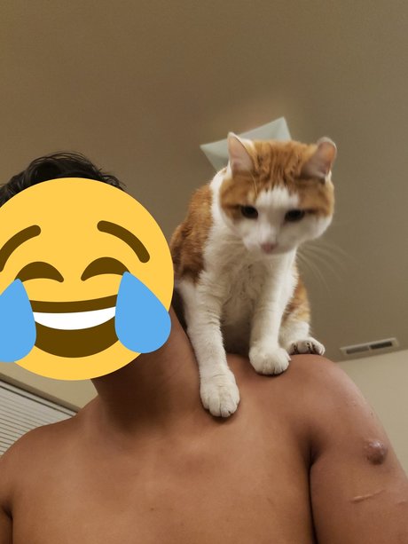 life of No Man pornostar kunst galerien