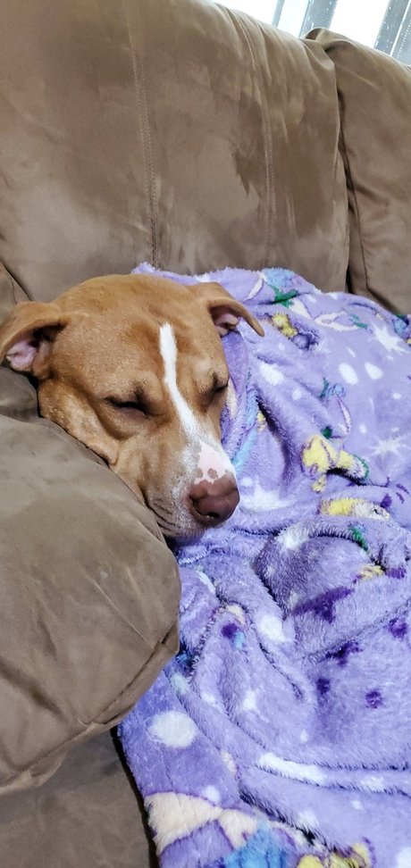 Cute Jess heiße pornografische galerien