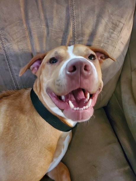 Cute Jess erwachsene nette bilder