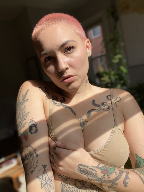 Veronica Vale kostenlose xxx archiv