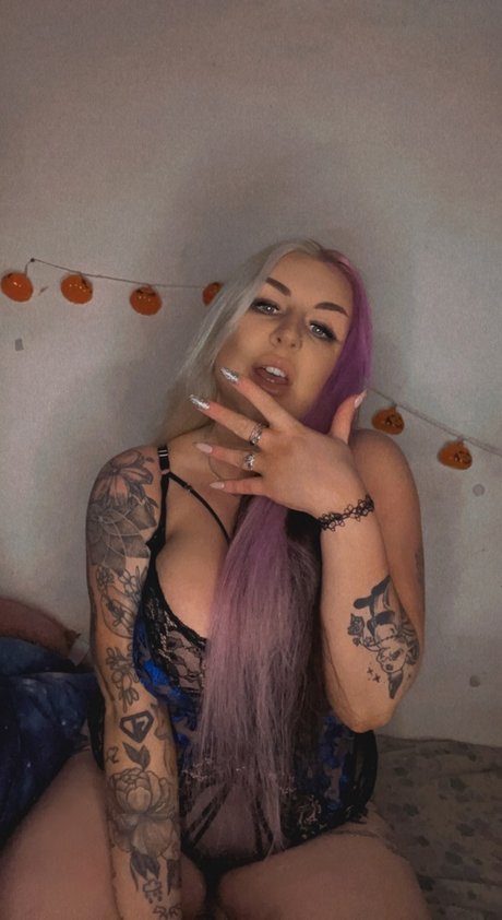 Irish Fox hübsche kostenlose fotos