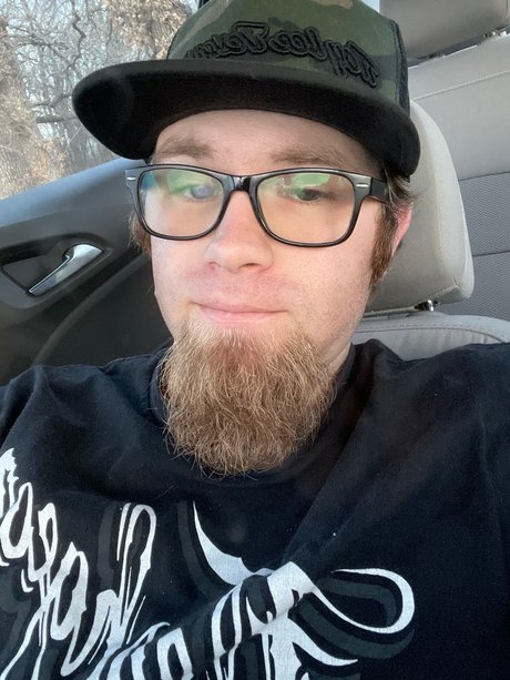 The Lion schöne beste foto