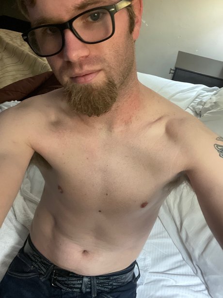 The Lion hd kunst galerie