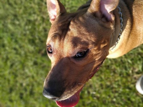 Augusto Xavier nackt erotische fotos