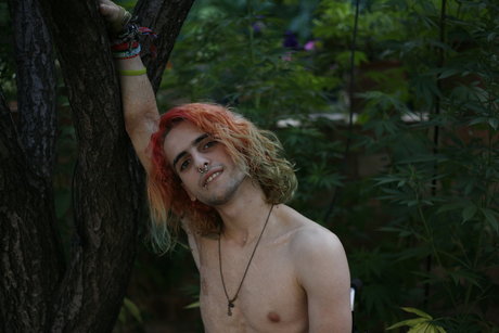 naughty on wheels pornostar xxx archiv