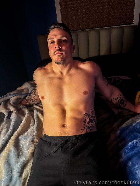 schwänze nur fans beste kunst fotos