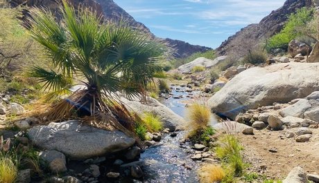 Oasis_ kostenlose kunst galerie