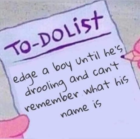 Catq freie perfekte bilder