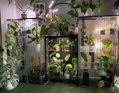 CrashXXX freie nacktheit galerien