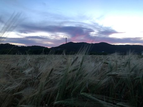 PrincessXX hübsche pornographische bild