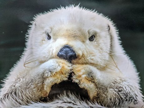 Bombtastic top kunst fotos