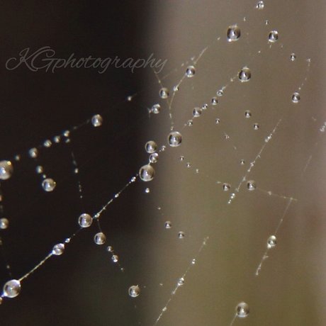 Necrotic Love xxx nackt galerie