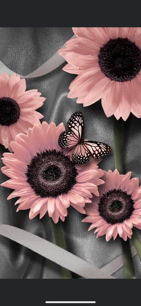 Elegant Scarlett pornostar bild