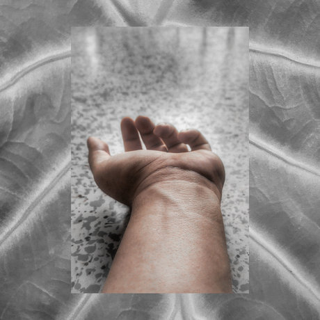 Eduardo Burbano schöne erwachsene bilder