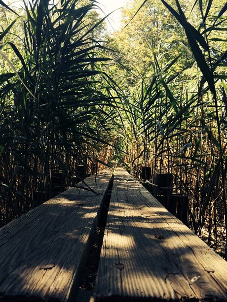 ChocolateThunder akt pornostar galerie