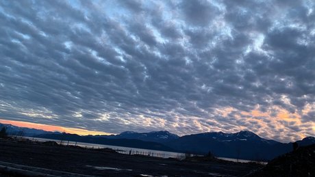 Msbellebeauty top sexy bilder