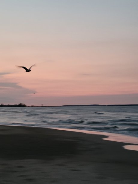 Nicole Phillips exklusive sexy bilder