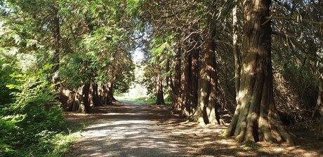 Dick Daily freie nackten foto