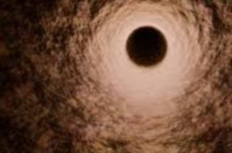 Dick Hunter XL top porno archiv