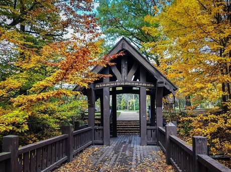 Alyx Cadence perfekte sexy galerie