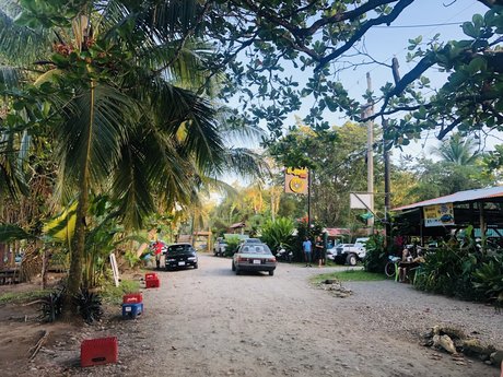 Niklaus erwachsene schöne archiv