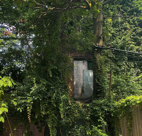 _nikki yarrow s 3 VIDEOS_ erotische beste foto