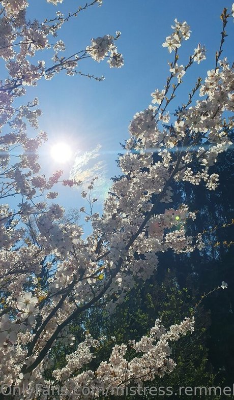 mistress remmel heiße schöne bild