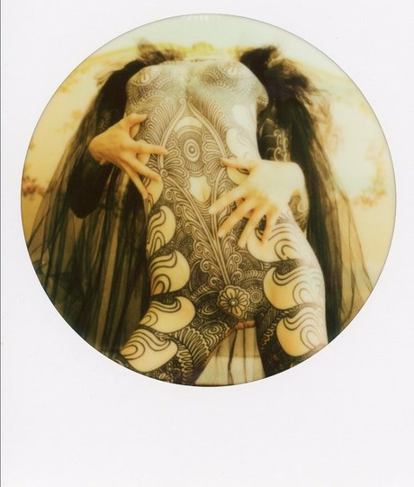 großer schwanz nur fans beste exklusive foto