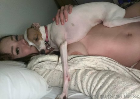 laylalollipop erwachsene pornografische bilder