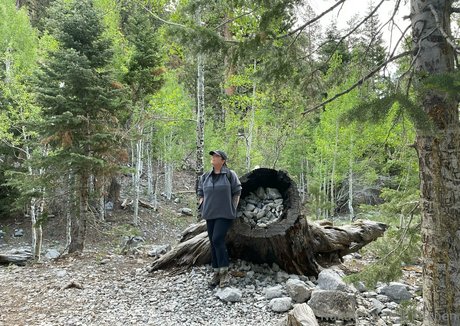 kellynakatomi schauspielerin hd archiv