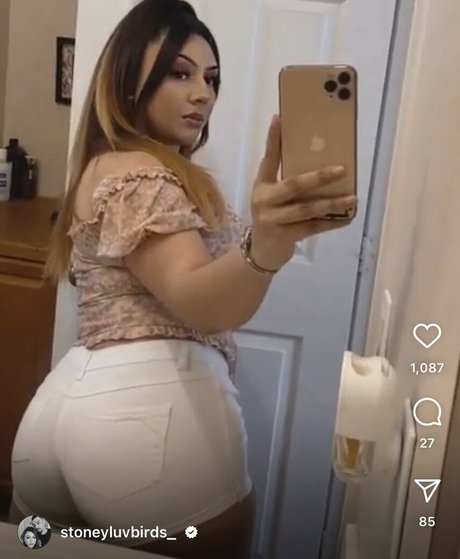 Bakedbabeeee perfekte pornografische archiv