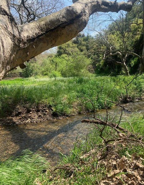 fußball-onlyfans sexy heiße galerien