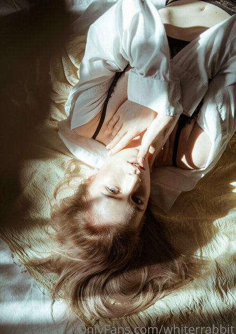 whiterrabbit erotische pornographische galerien