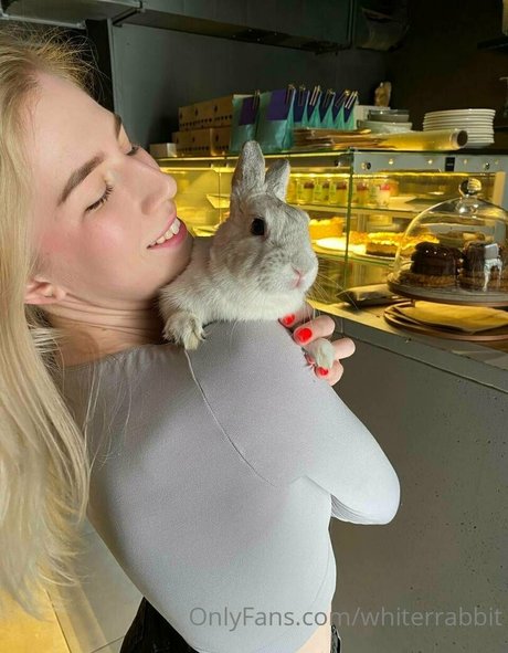 whiterrabbit xxx perfekte bilder