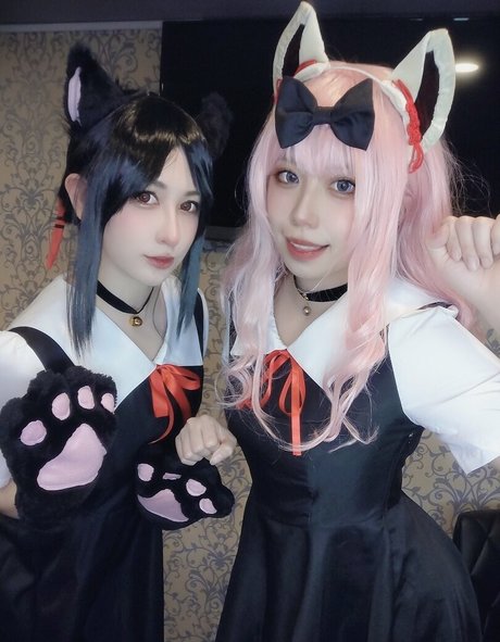 kuronomori hd schöne foto