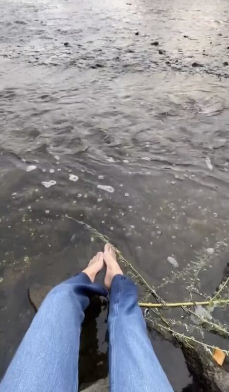 Vedmaris erwachsene bilder