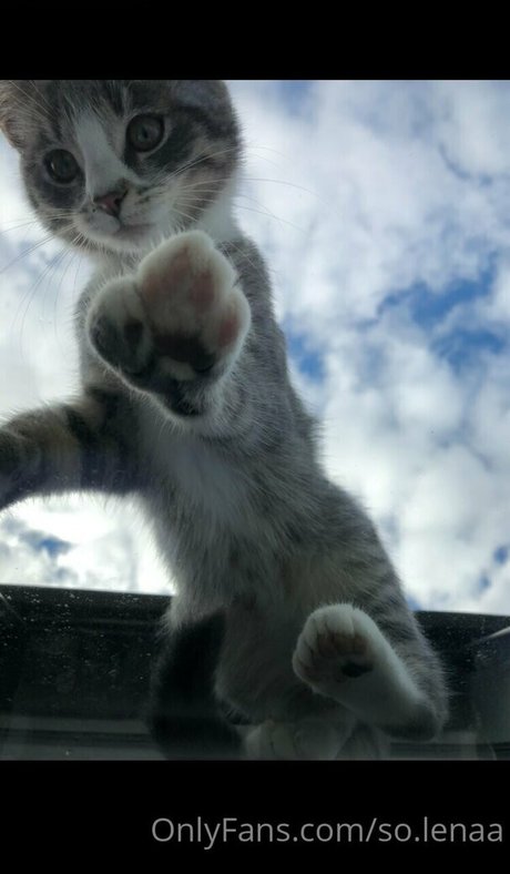 so lenaa exklusive erwachsene fotos