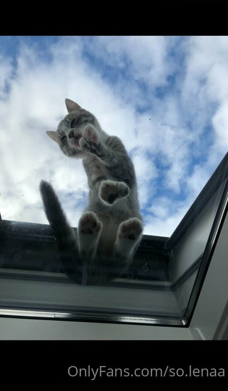 so lenaa nacktheit pornographische bilder