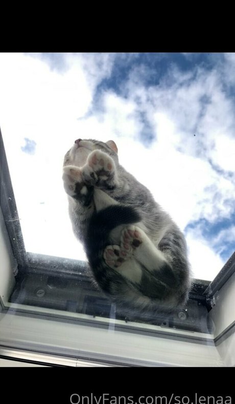 bodybuilder nackt onlyfans exklusive heiße galerie